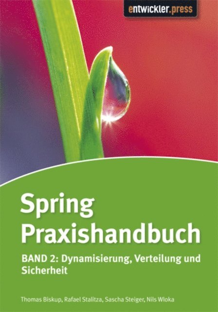 Nils Wloka, Sascha Steiger, Rafael Stalitza, Thomas Biskup - Spring Praxishandbuch, E-bok