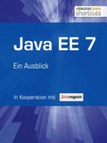 Java EE 7