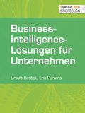 Business-Intelligence-Losungen fur Unternehmen