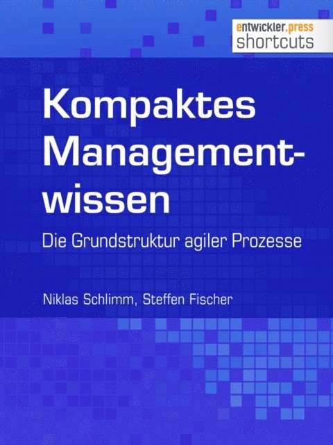 Steffen Fischer, Niklas Schlimm - Kompaktes Managementwissen, E-bok