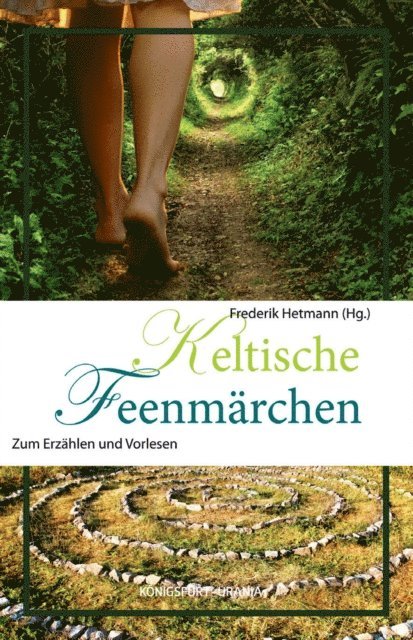 Frederik Hetmann - Keltische Feenmärchen, E-bok