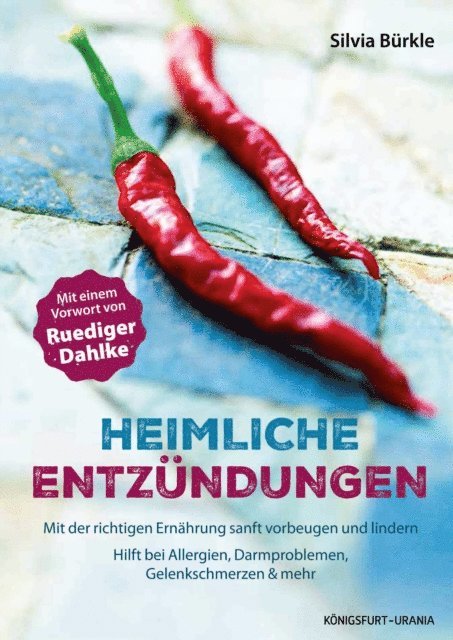 Silvia Burkle - Heimliche Entzündungen, E-bok