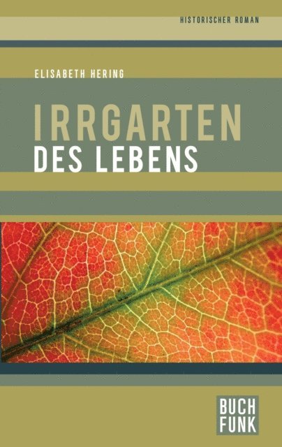 Elisabeth Hering - Irrgarten des Lebens, E-bok