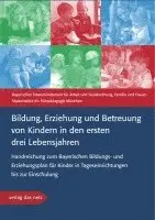 Bayerisches Staatsministerium f. Arbeit u. Sozialordnung, München Staatsinstitut für Frühpädagogik - Bildung, Erziehung und Betreuung von Kindern in den ersten drei Lebensjahren, Häftad. Tillgänglighet: Lägg i varukorg
