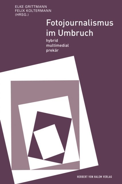 Felix Koltermann, Elke Grittmann - Fotojournalismus im Umbruch, E-bok