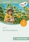 Die Sonnenblume. Grundschule, Sachunterricht, Klasse 1-2