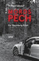Wilfried Lülsdorf - Mordspech, Häftad