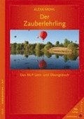 Der Zauberlehrling