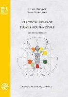 Henry McCann, Hans-Georg Ross - Practical Atlas of Tung's Acupuncture, Inbunden