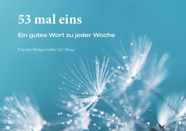 Sascha-Philipp Geiler - 53 mal eins, E-bok