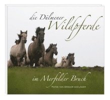 Jörg Gierse, Gregor Schläger - Die Dülmener Wildpferde in Merfelder Bruch, Inbunden