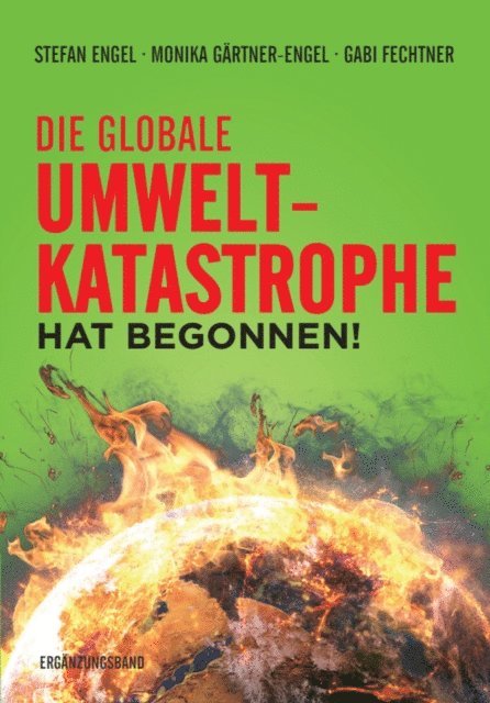 Gabi Fechtner, Monika Gartner-Engel, Stefan Engel - Die globale Umweltkatastrophe hat begonnen!, E-bok
