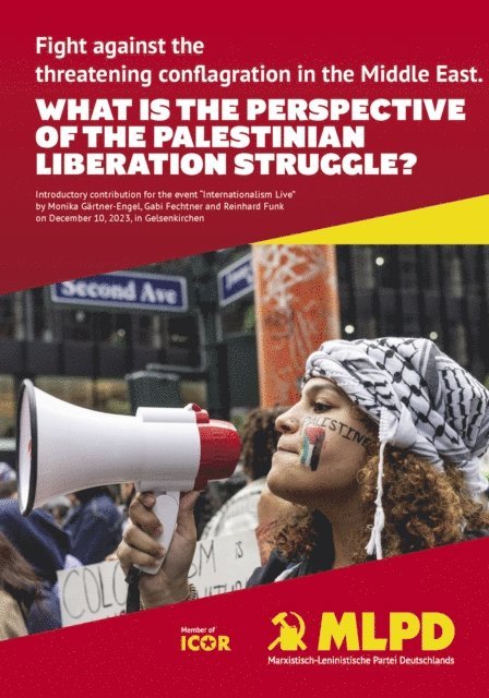 Reinhard Funk, Monika Gartner-Engel, Gabi Fechtner - What is the perspective of the palestinian liberation struggle?, E-bok