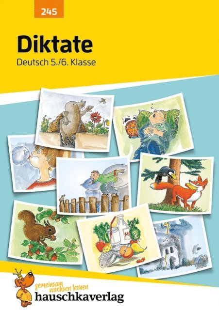 Gerhard Widmann - Diktate 5./6. Klasse, E-bok