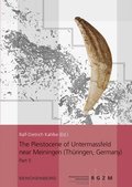 The Pleistocene of Untermassfeld near Meiningen (Thringen, Germany)