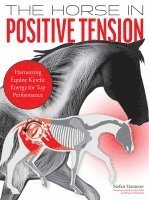 Stefan Stammer - The Horse in Positive Tension, Häftad