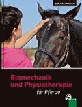 Biomechanik und Physiotherapie fr Pferde