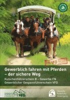 Gewerbliches Fahren mit Pferden - der sichere Weg, Häftad