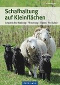 Schafhaltung auf Kleinflchen