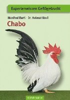 Manfred Bartl, Helmut Kroll - Chabo, Övrigt