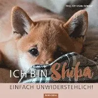 Christiane Schober - Ich bin Shiba. Einfach unwiderstehlich!, Inbunden. Tillgänglighet: Lägg i varukorg