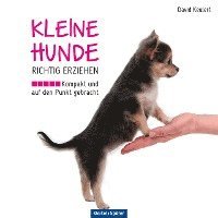 David Keulert - Kleine Hunde richtig erziehen, Häftad. Tillgänglighet: Lägg i varukorg