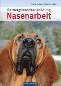 Rettungshundeausbildung Nasenarbeit