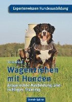 Doris Braun - Wagenziehen mit Hunden, Häftad