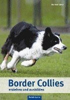 Barbara Sykes - Border Collies erziehen und ausbilden, Inbunden. Tillgänglighet: Lägg i varukorg