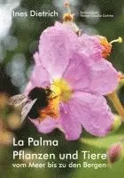 Dietrich Ines - La Palma. Pflanzen und Tiere vom Meer bis zu den Bergen, Häftad. Tillgänglighet: Lägg i varukorg