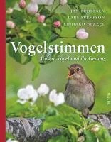 Vogelstimmen