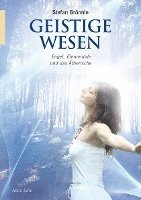 Stefan Brönnle - Geistige Wesen, Häftad