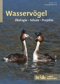 Wasservgel