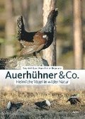 Auerhhner & Co.