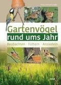 Gartenvgel rund ums Jahr