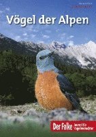 Vgel der Alpen - Falke-Sonderheft 2022