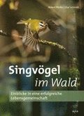Singvgel im Wald
