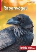Rabenvgel