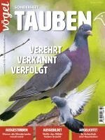 Redaktion Vögel/AULA-Verlag - Tauben, Häftad