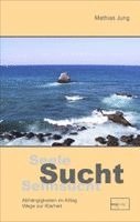 Mathias Jung - Seele, Sucht, Sehnsucht, Häftad