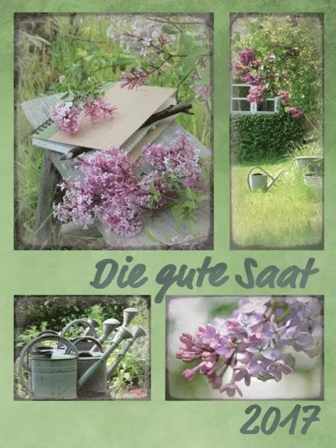 CSV - Die gute Saat (2017), E-bok. Tillgänglighet: Lägg i varukorg
