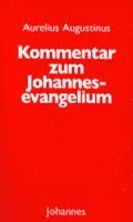 Kommentar zum Johannes Evangelium