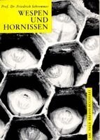 Friedrich Schremmer - Wespen und Hornissen, Häftad