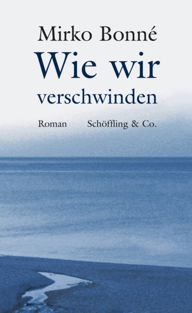 Mirko Bonne - Wie wir verschwinden, E-bok