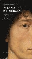 Alphonse Daudet, André Ebner - Im Land der Schmerzen, Häftad