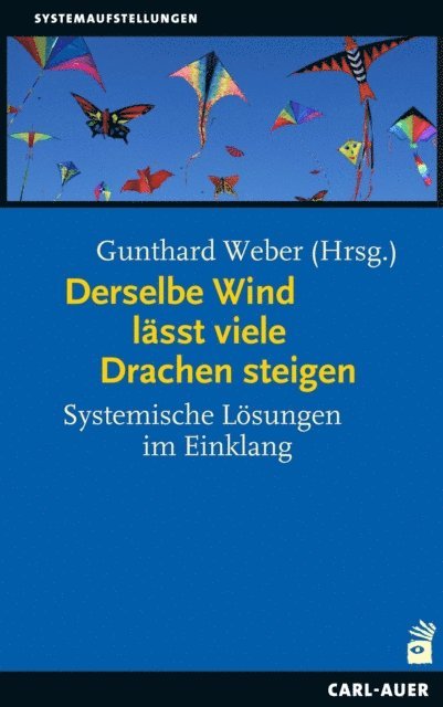 Gunthard Weber - Derselbe Wind lässt viele Drachen steigen, E-bok