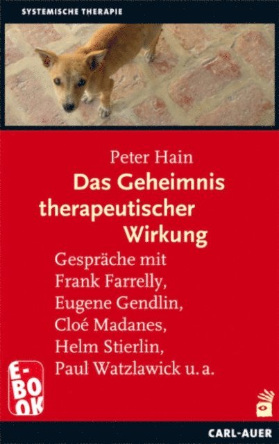 Peter Hain - Das Geheimnis therapeutischer Wirkung, E-bok