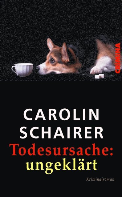 Carolin Schairer - Todesursache: ungeklärt, E-bok
