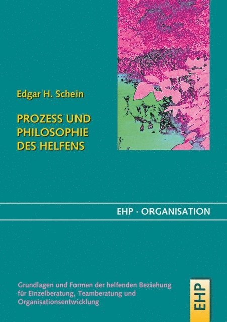 Irmgard Holscher, Gerhard Fatzer, Edgar H. Schein - Prozess und Philosophie des Helfens, E-bok