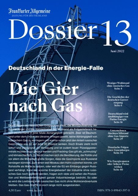 Frankfurter Allgemeine Archiv Rights Management, Carsten Knop, Gerald Braunberger - Die Gier nach Gas, E-bok